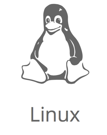 Linux flaw allows hijacking web connections